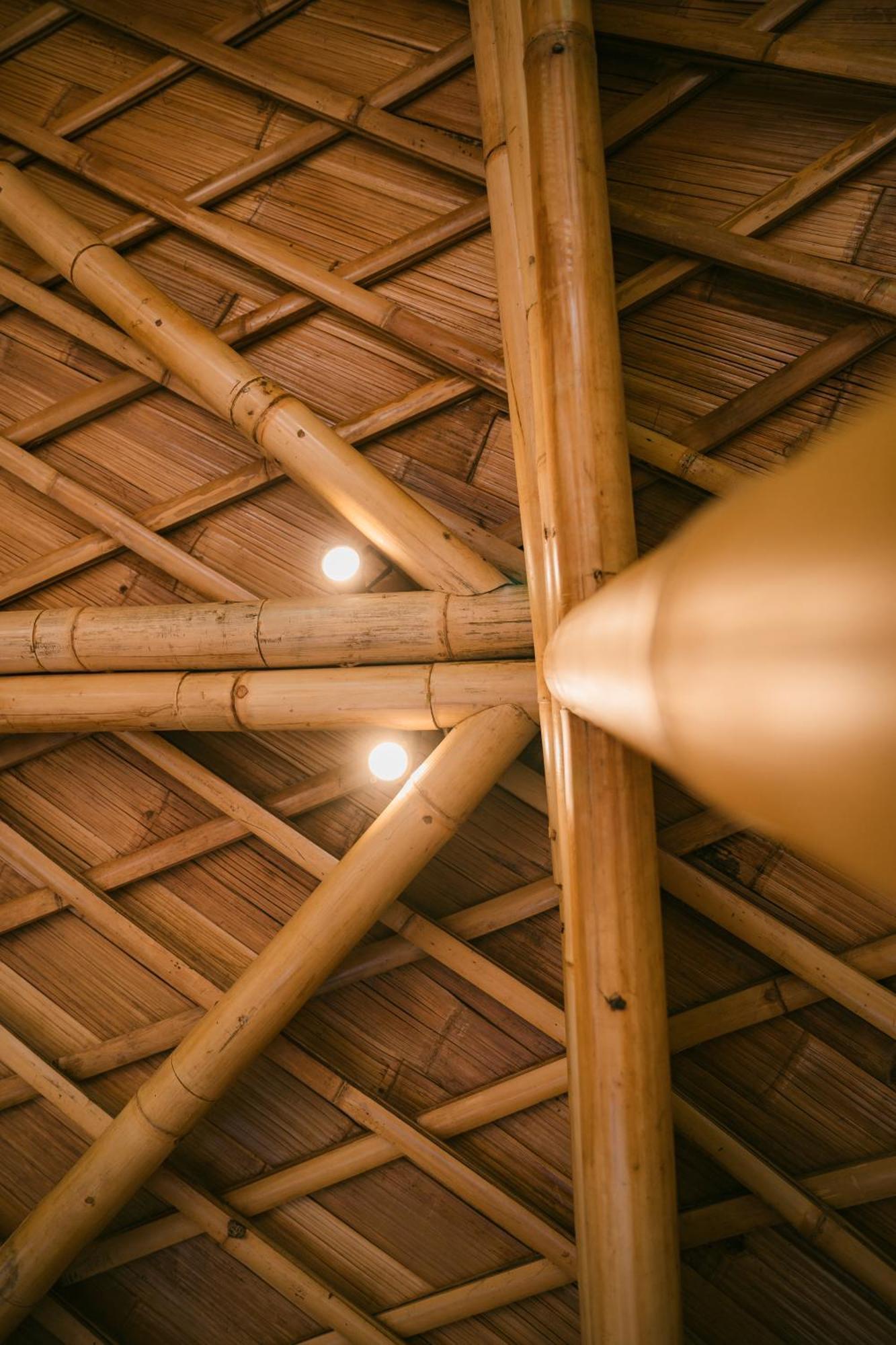 Alamvaya Bali Bamboo House Villa Sidemen  Luaran gambar