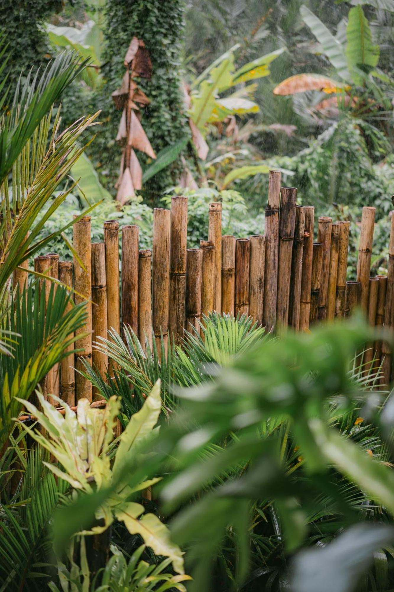 Alamvaya Bali Bamboo House Villa Sidemen  Luaran gambar